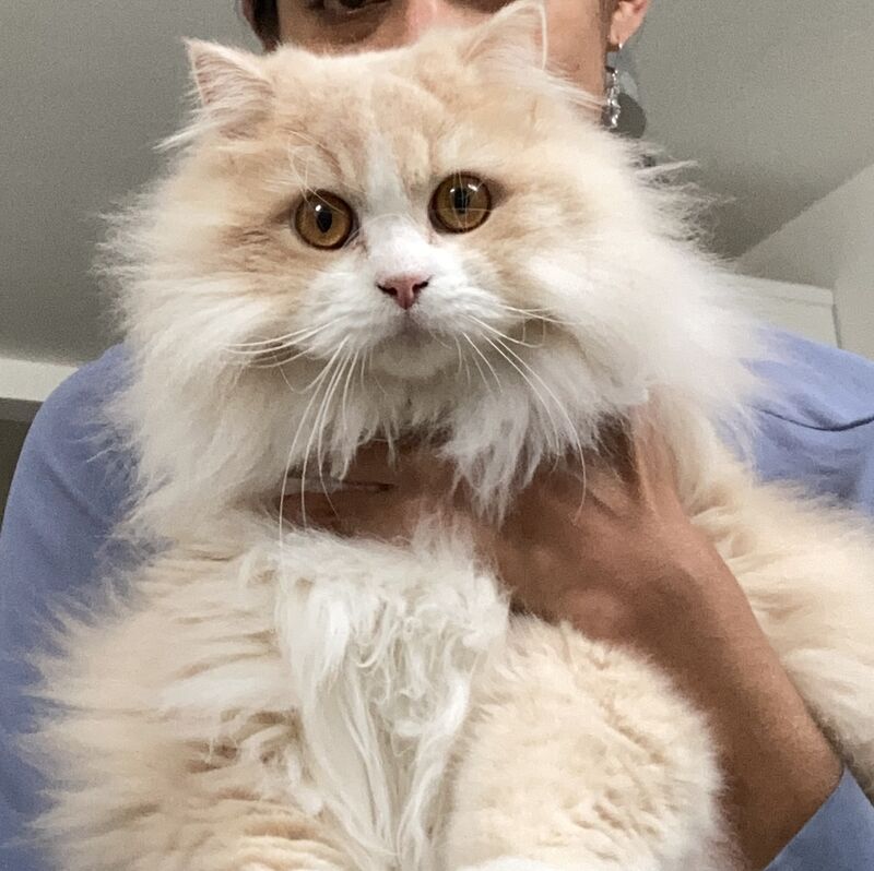 Happy pet client